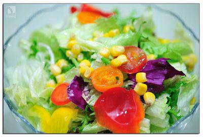 常见减肥食物 白色食物抑制食欲