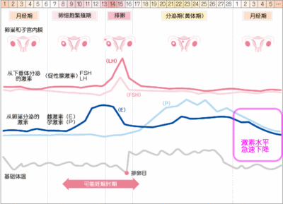 减肥误区 最使不得的错误减肥方法